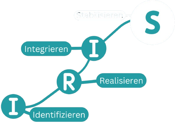 IRIS Methode Grafik Stabilisieren