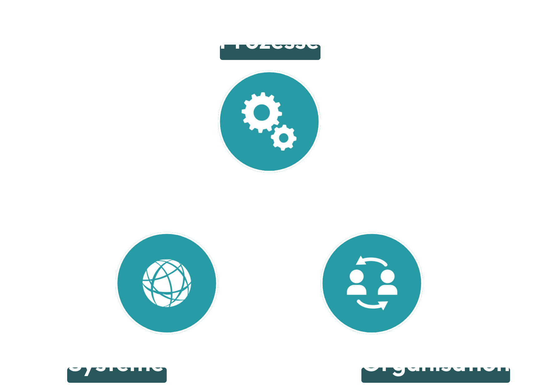 Grafik Beratungsansatz: Prozesse, Systeme, Organisation